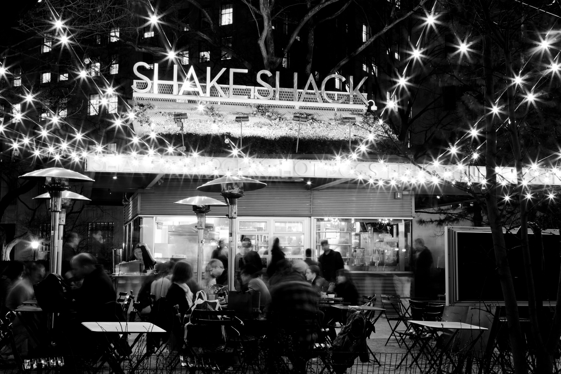 Shake Shack Madison Square Park Pete Labrozzi Photography